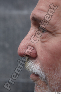 Street  551 nose 0002.jpg